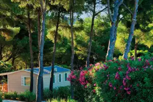 CAMPING LES DAUPHINS