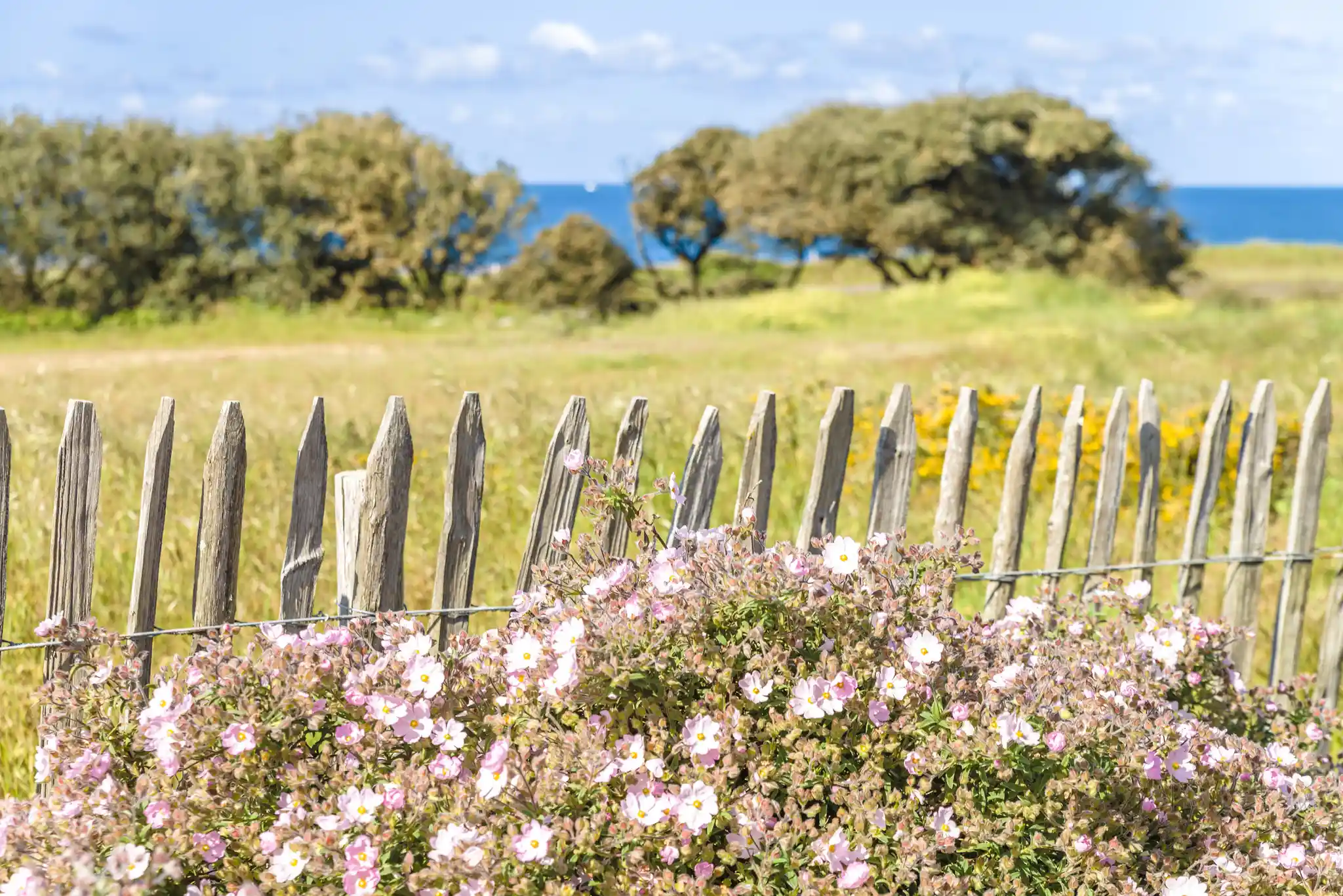 Lagrange Vacances®  - Olonne / les Sables d'olonne - L'estran